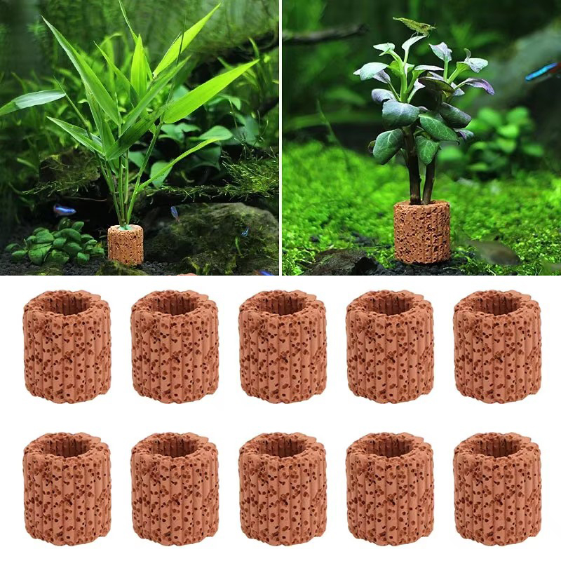 Aquarium Plant Rings - Aquatic Plant Fixed Ring for Aquarium