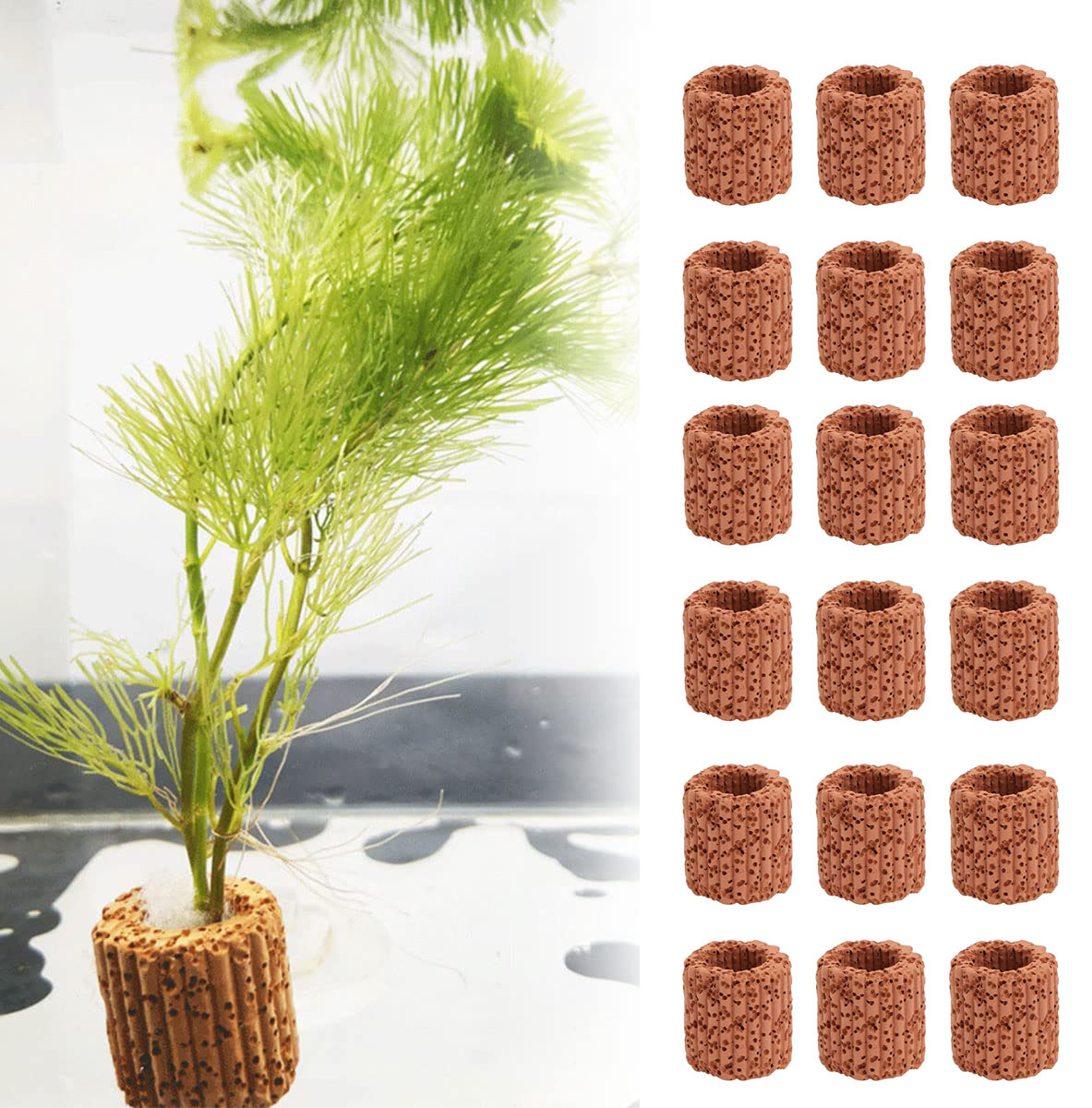 Aquarium Plant Rings - 10/20Pcs Aquatic Water Plant Fixed Ring