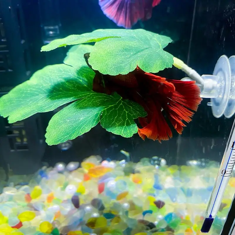 Aquarium Plant Rings - Betta Fish Leaf Hammock Aquarium Decorative