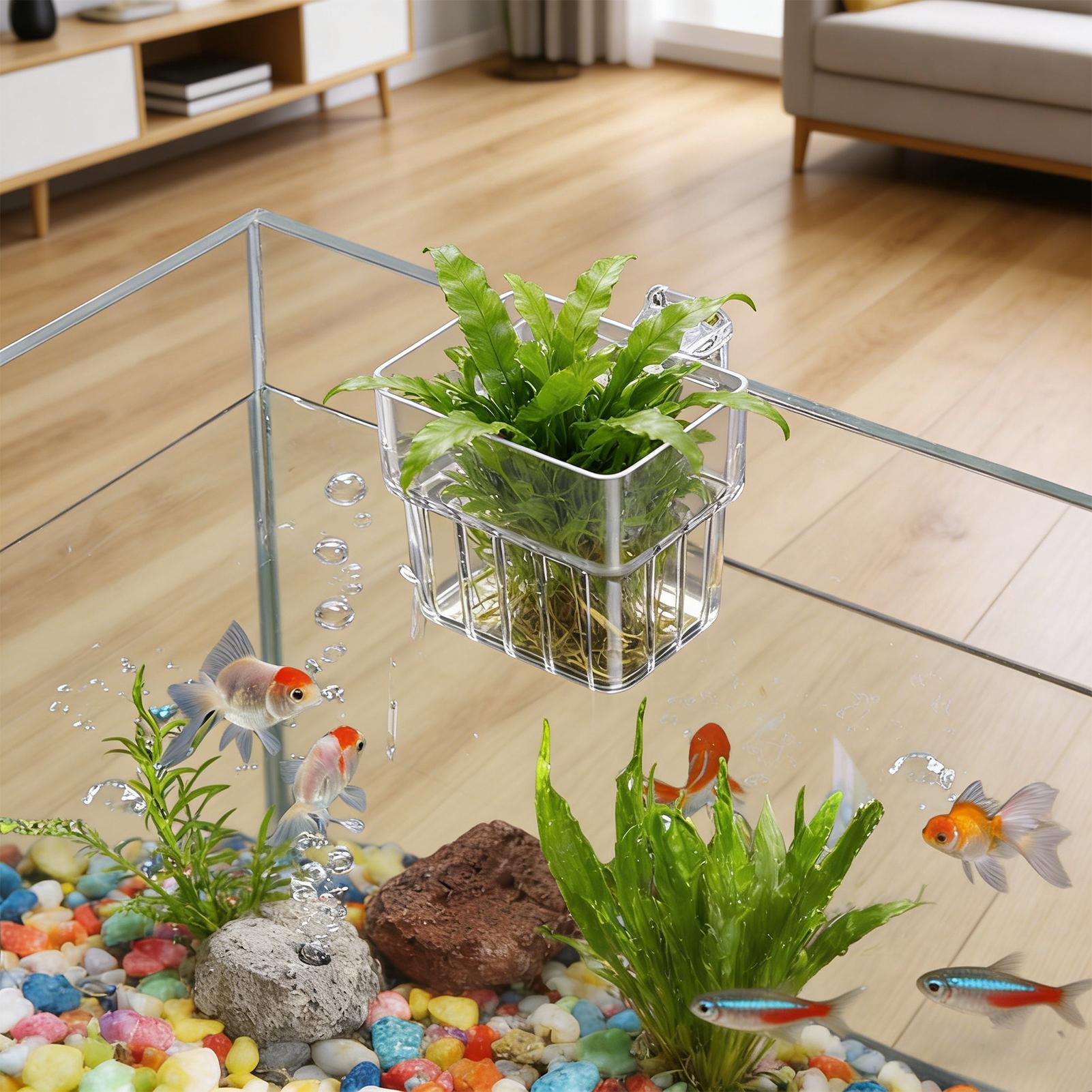 Aquarium Plant Rings - Transparent Hangable Aquarium Plant Holder Pot