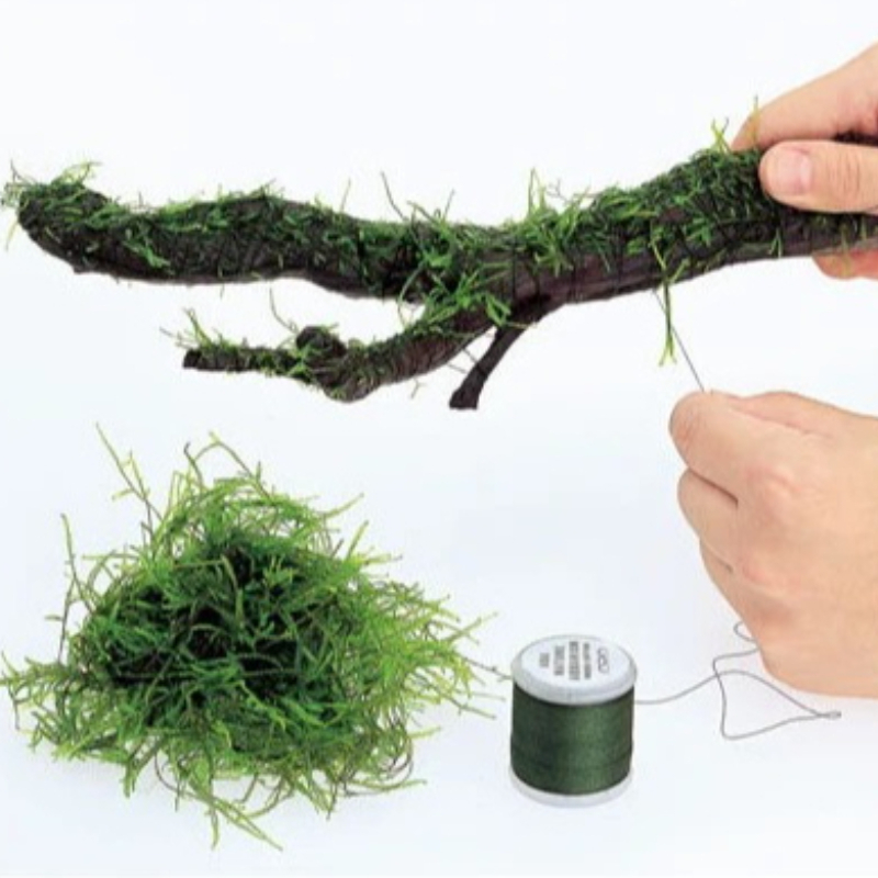 Planted Aquarium With Rocks - Biodegradable Aquarium Moss Thread 200m Aquascaping