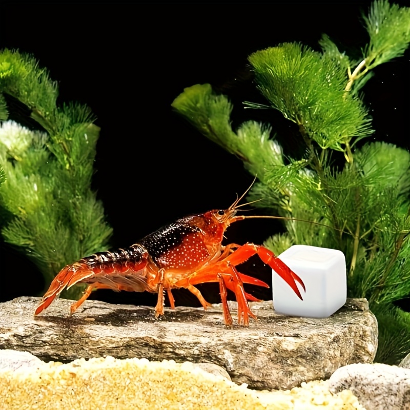 Aquarium Plant Rings - 6 Pcs Fish Tank Calcium Block
