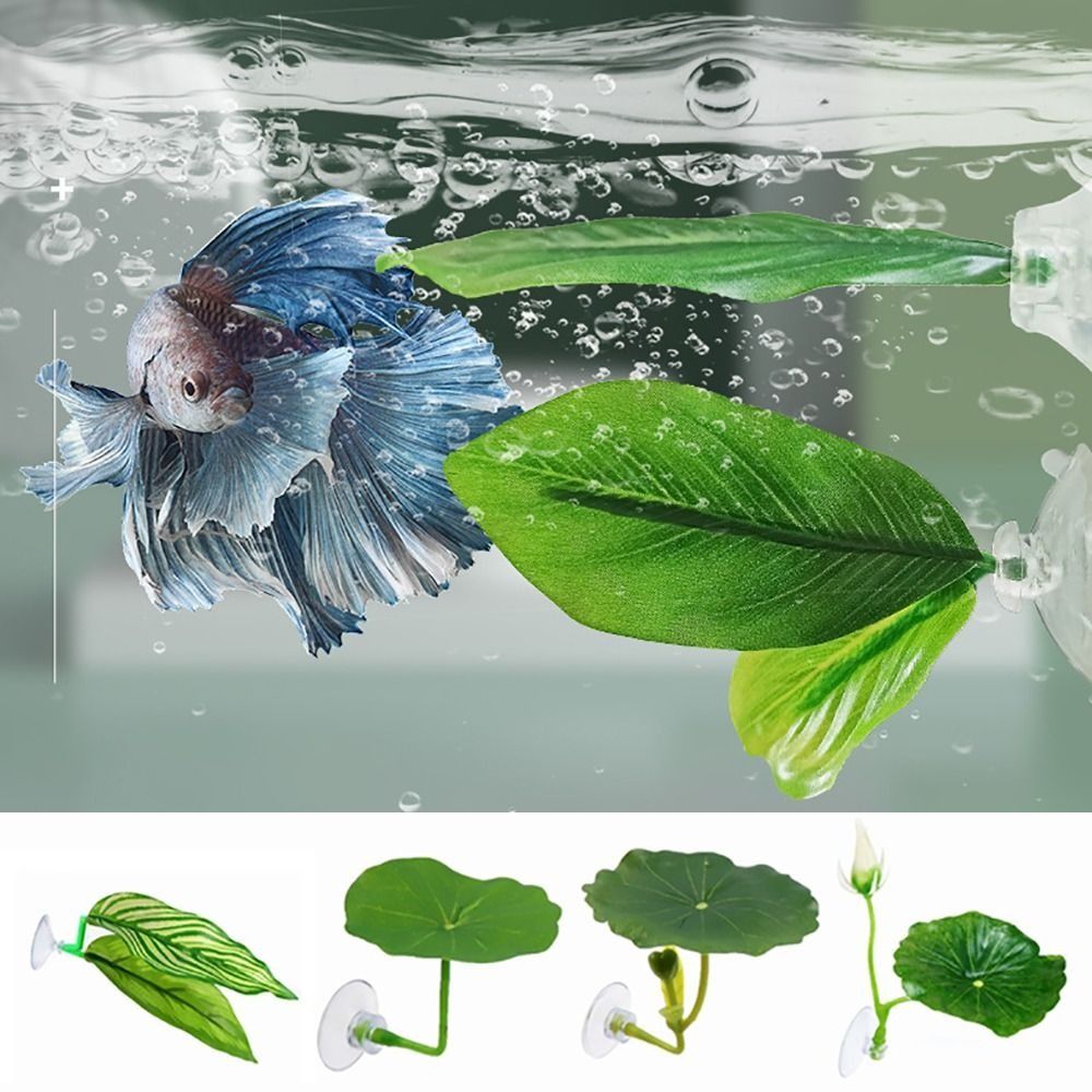 Plastic Betta Fish Rest Leaf S - Aquarium Plant Rings ulasan dan harga