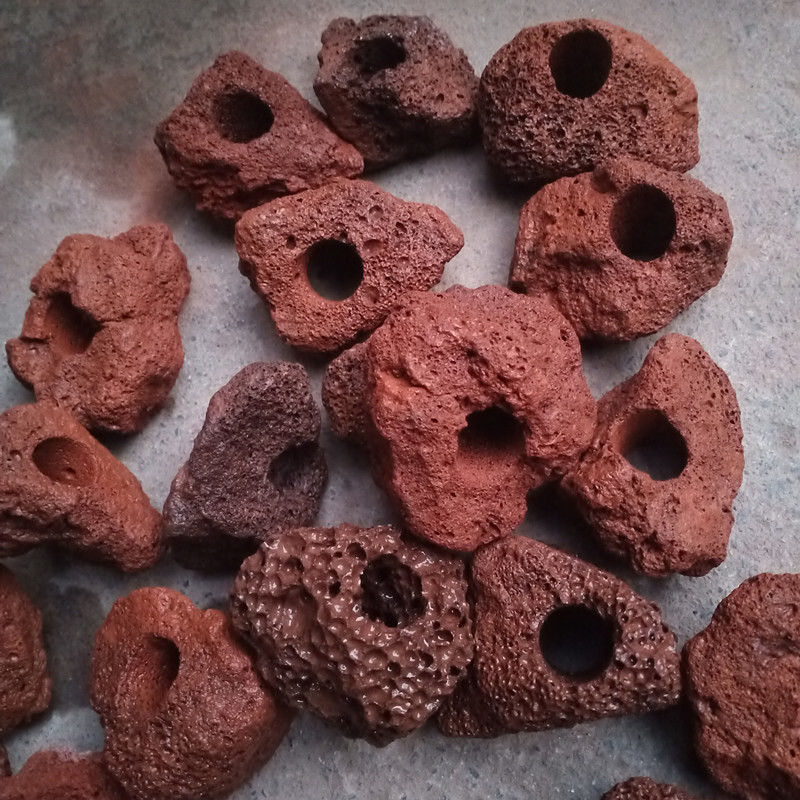 Open Hole Rock Fish Shrimp She - Planted Aquarium With Rocks ulasan dan harga