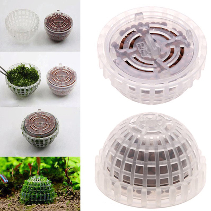 Hot Sale Aquatic Pet Supplies  - Aquarium Plants For Sale ulasan dan harga