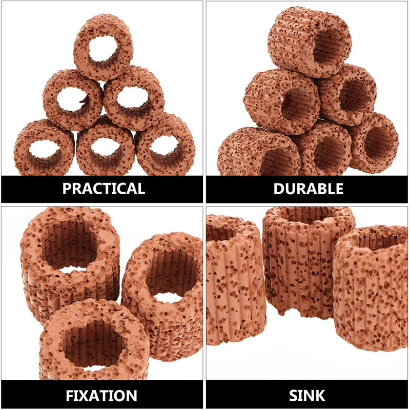 Aquatic Plant Fixed Ring for A - Aquarium Plant Rings ulasan dan harga