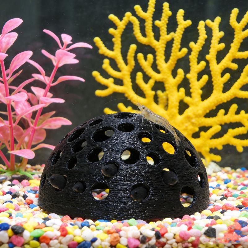 Aquarium Hidden Cave Shelter F - Aquarium Plant Rings ulasan dan harga
