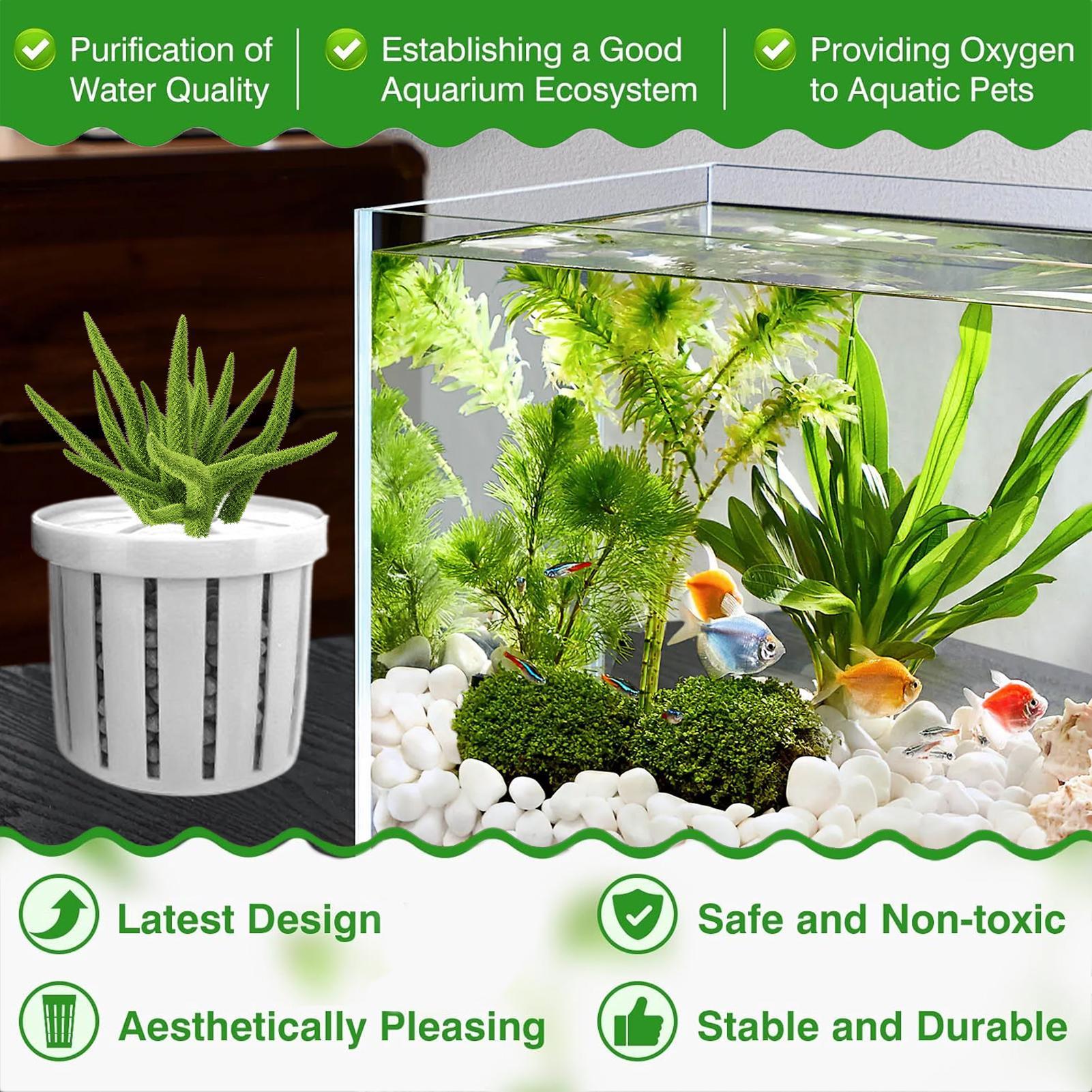 4 Pieces Aquarium Planter Pot  - Aquarium Plant Rings ulasan dan harga