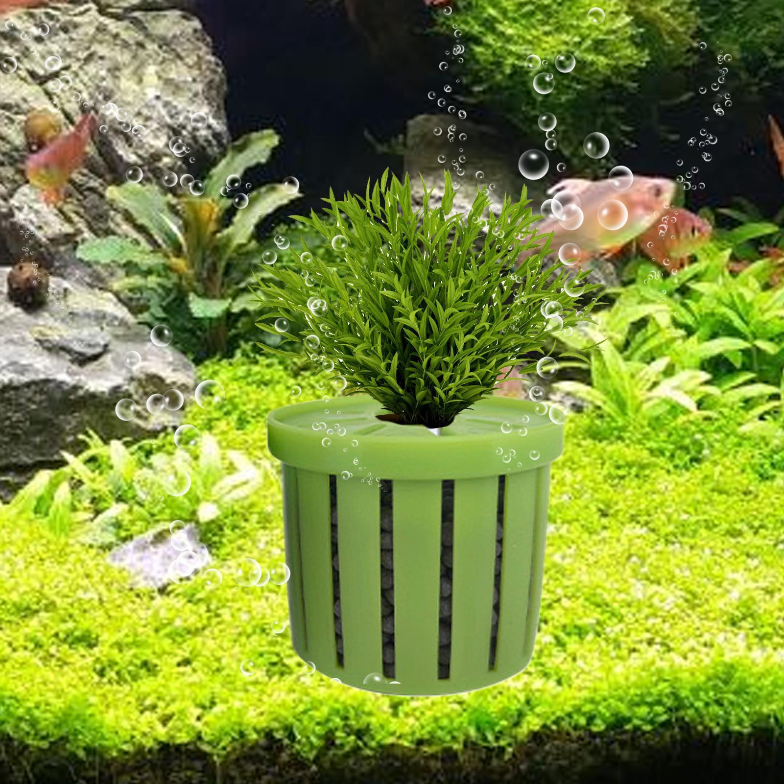 4 Pieces Aquarium Planter Pot  - Aquarium Plant Rings ulasan dan harga