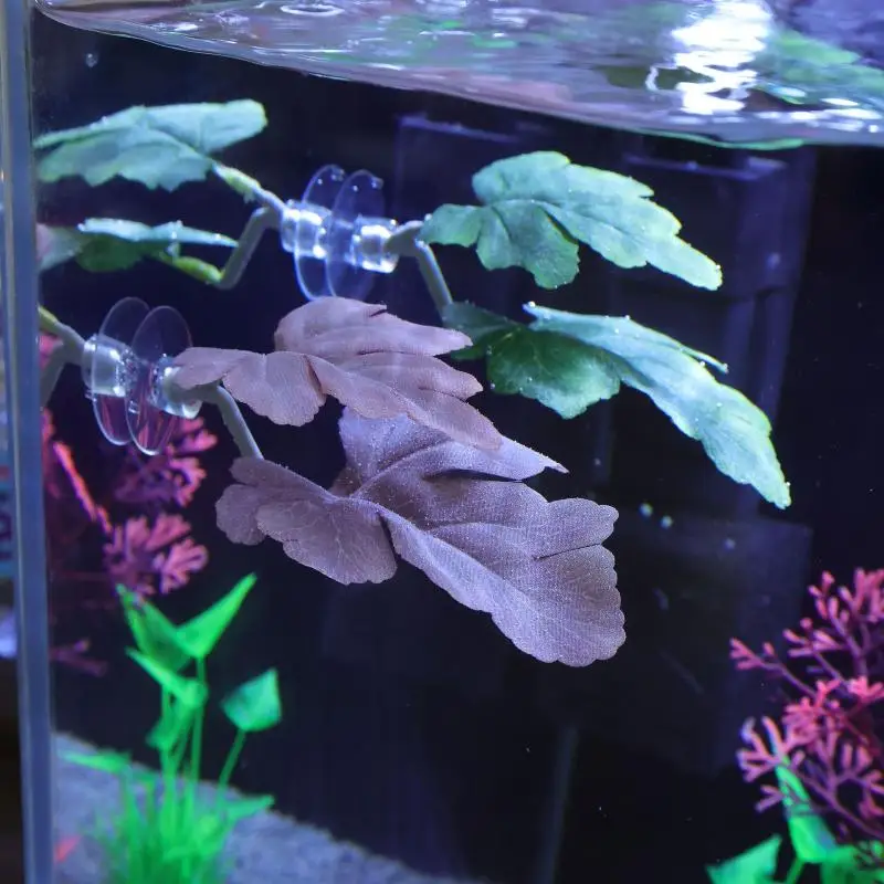 Betta Fish Leaf Hammock Aquari - Aquarium Plant Rings ulasan dan harga