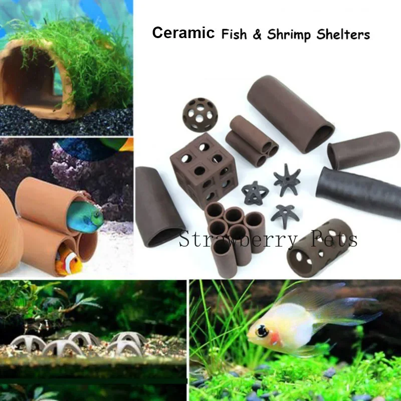 Ceramic Aquarium Decoration Fi - Aquarium Plant Rings ulasan dan harga