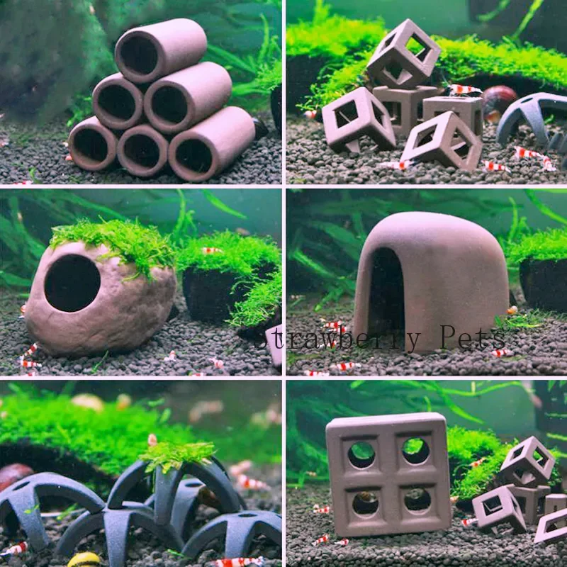 Ceramic Aquarium Decoration Fi - Aquarium Plant Rings ulasan dan harga