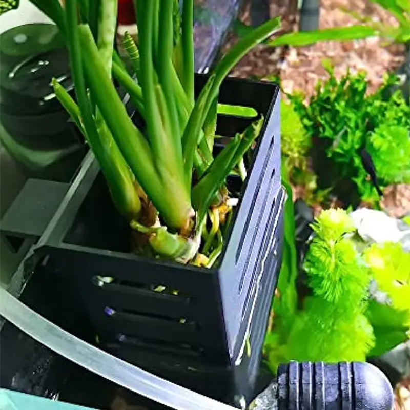 Pet Fish Tank Decorations Aqua - Aquarium Plant Rings ulasan dan harga