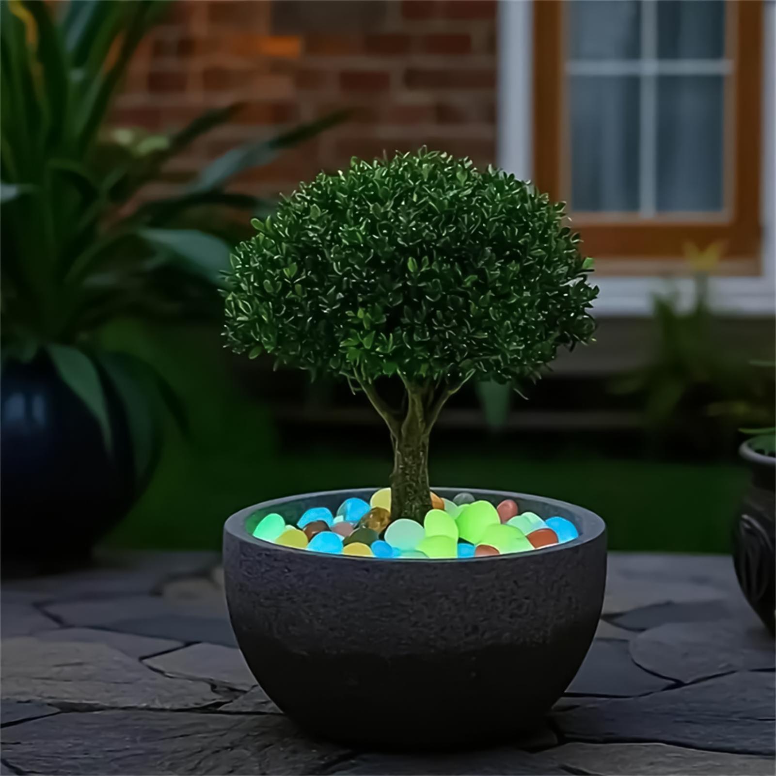 Landscaping Rocks 20 Pieces 1. - Planted Aquarium With Rocks ulasan dan harga