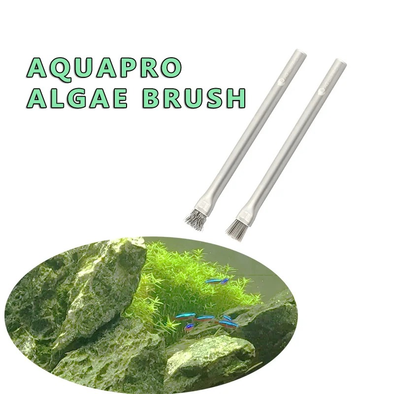 Aquapro Algae Brush Cleaning B - Planted Aquarium Algae Remover ulasan dan harga