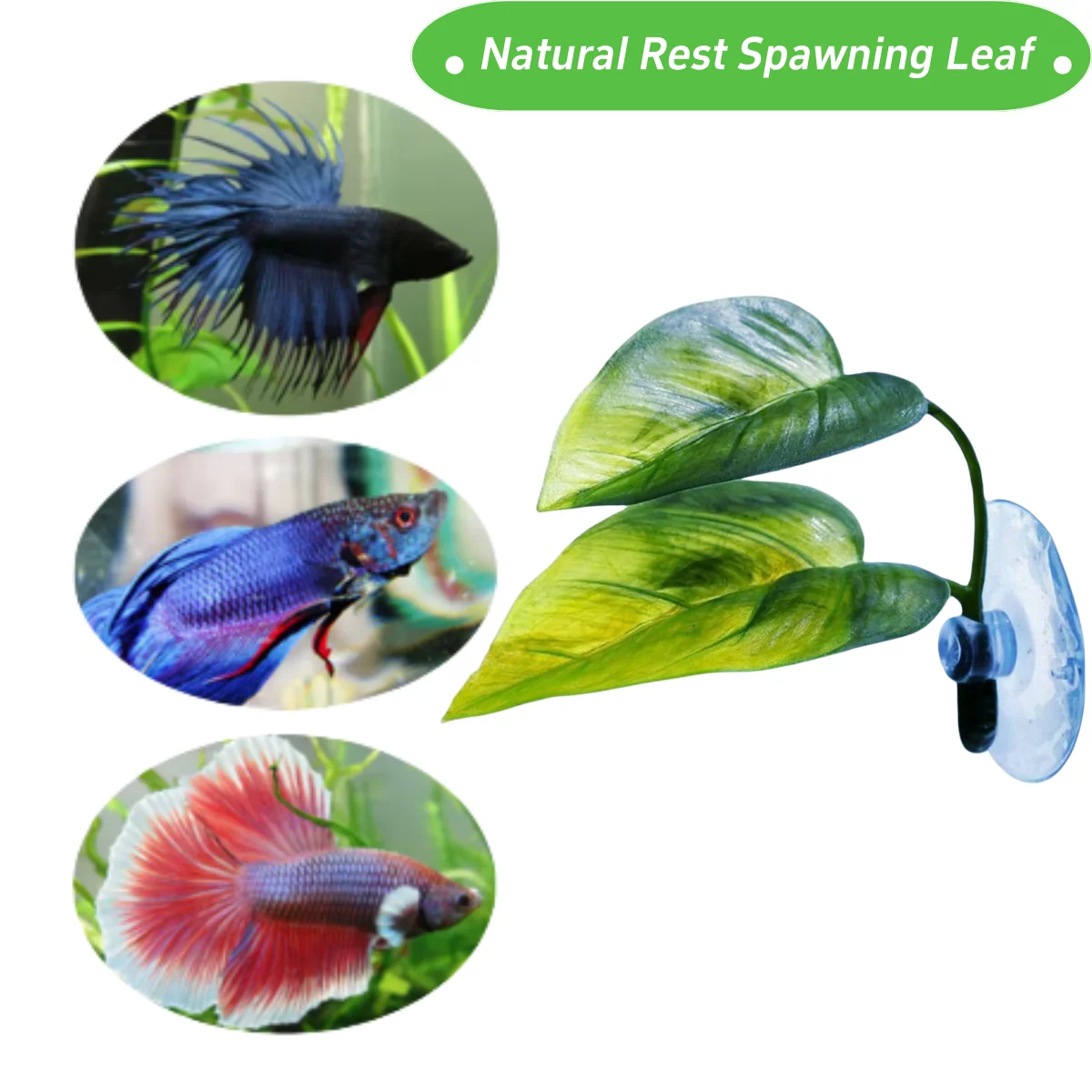 Pets Fish Tank Decor Betta Rel - Aquarium Plant Rings ulasan dan harga