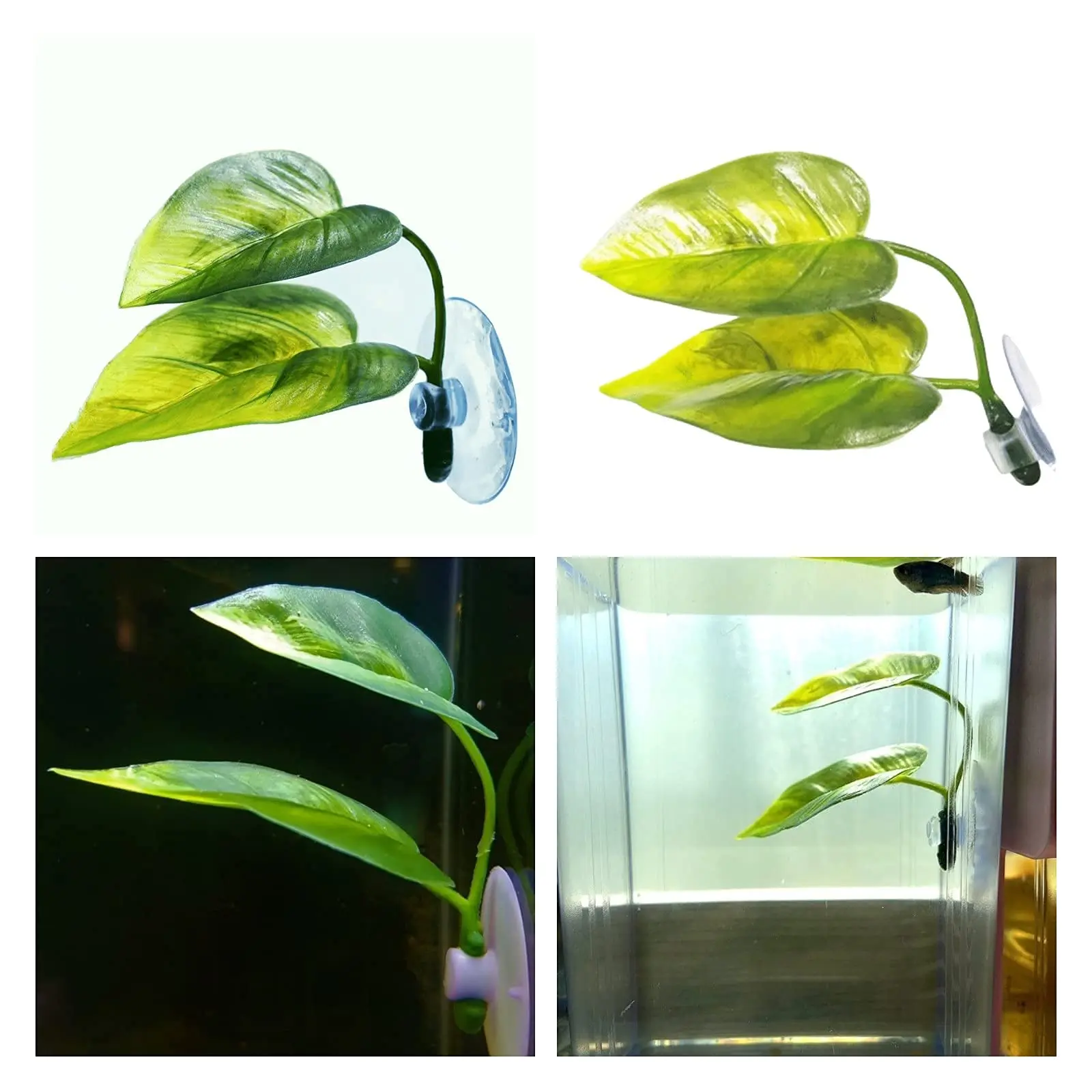 Pets Fish Tank Decor Betta Rel - Aquarium Plant Rings ulasan dan harga