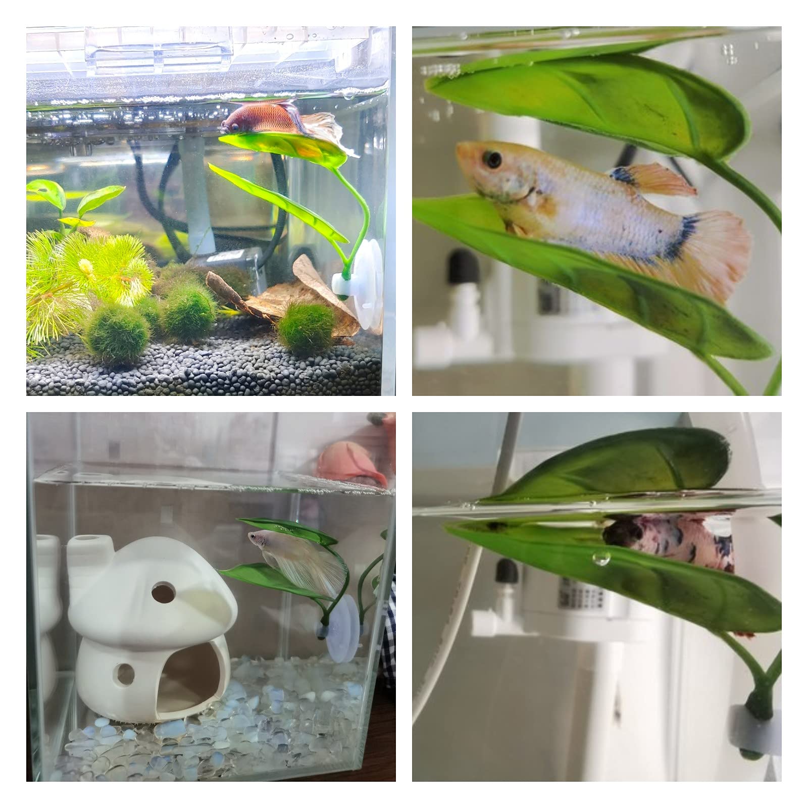 Pets Fish Tank Decor Betta Rel - Aquarium Plant Rings ulasan dan harga