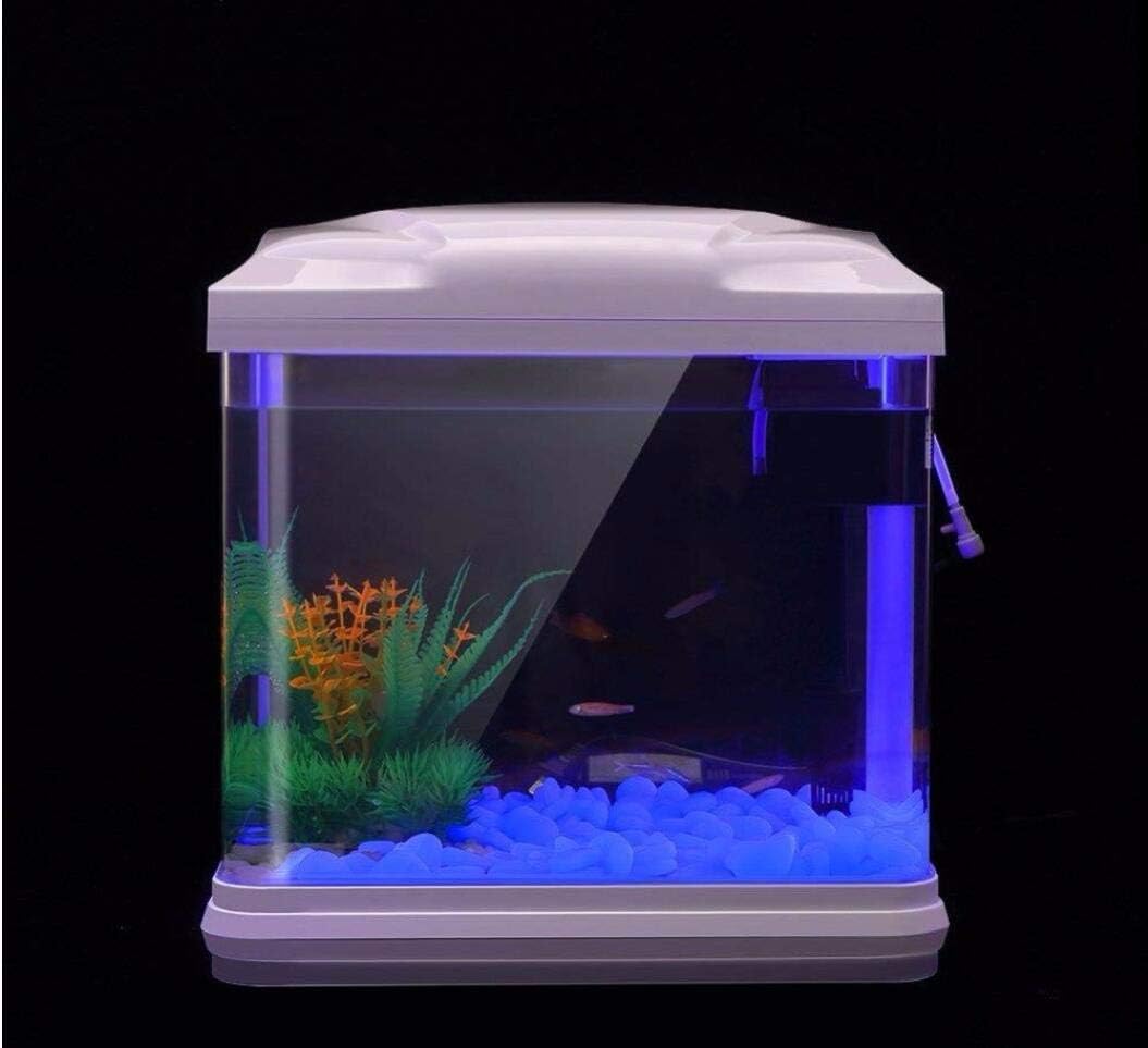 Fish Tank Rocks Glow Blue Pebb - Planted Aquarium With Rocks ulasan dan harga