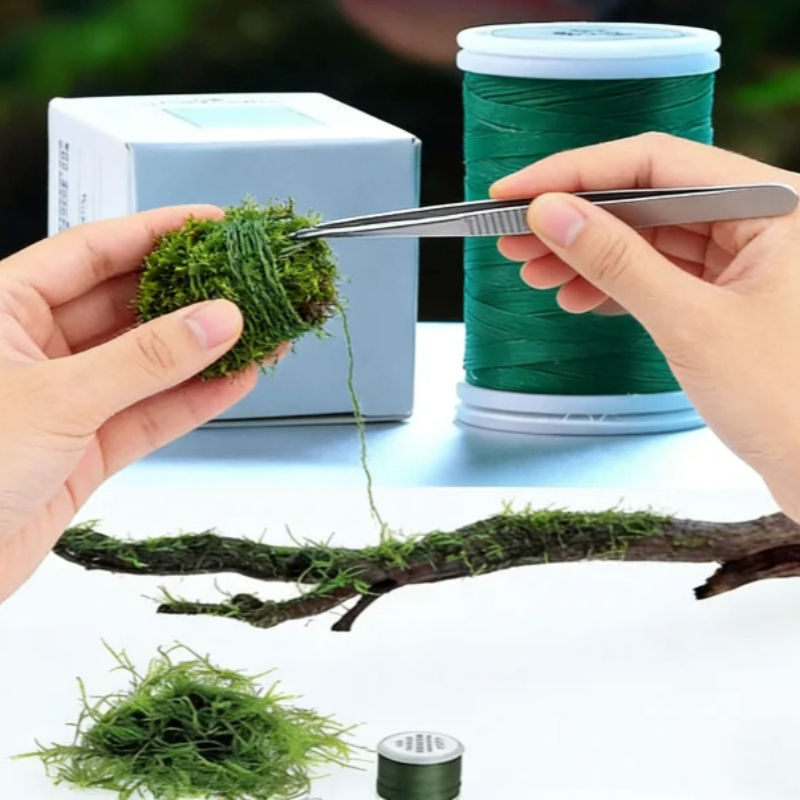 Biodegradable Aquarium Moss Th - Planted Aquarium With Rocks ulasan dan harga