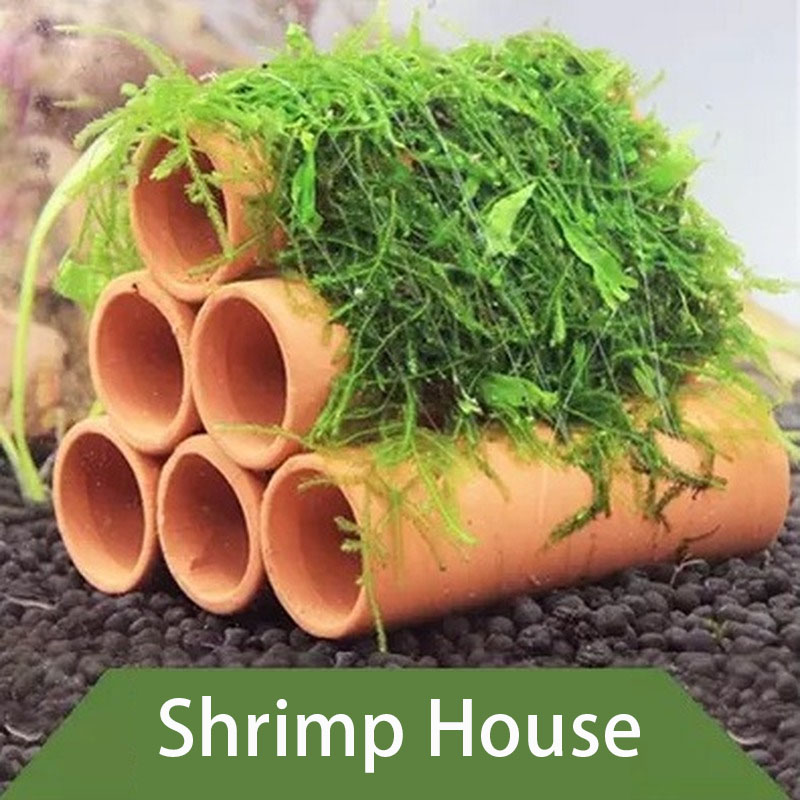 Clay Aquarium Decoration Fish  - Aquarium Plant Rings ulasan dan harga