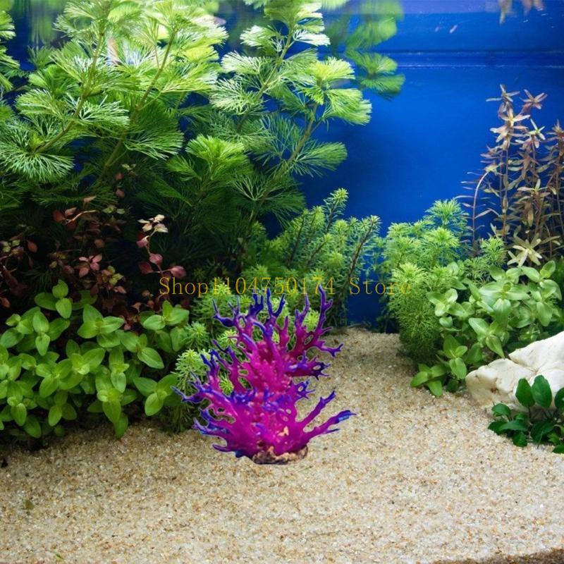 Artificial Water Plant Aquariu - Aquarium Plants For Sale ulasan dan harga