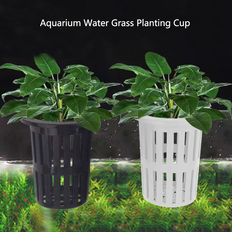 1/3Pcs Aquarium Plant Basket W - Aquarium Plant Rings ulasan dan harga