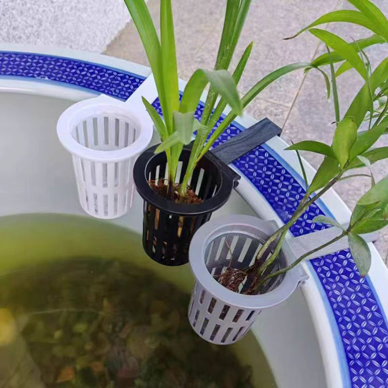 1/3Pcs Aquarium Plant Basket W - Aquarium Plant Rings ulasan dan harga