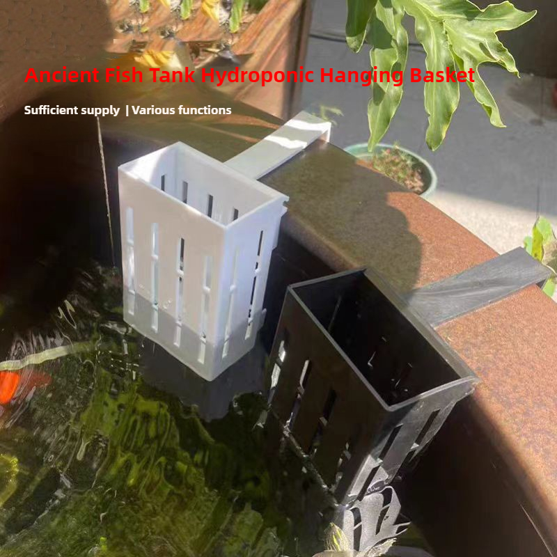 1/3Pcs Aquarium Plant Basket W - Aquarium Plant Rings ulasan dan harga