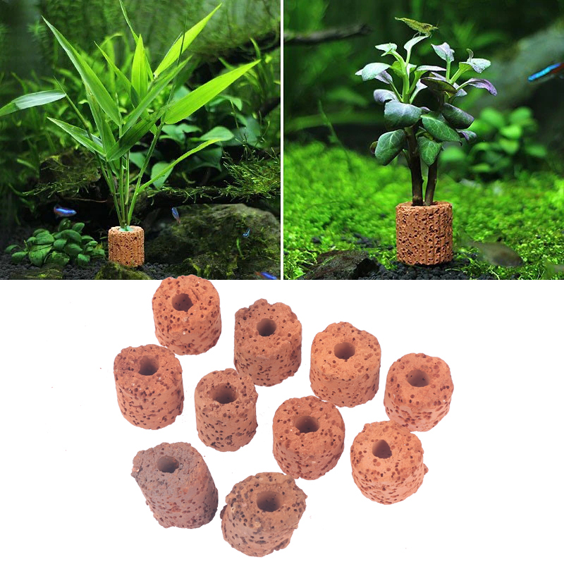 ^10Pcs Plant Ring Aquarium Fix - Aquarium Plant Rings ulasan dan harga