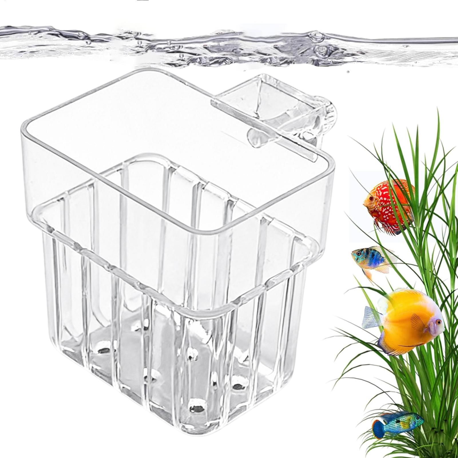 Aquarium Transparent Hanger Po - Aquarium Plant Rings ulasan dan harga