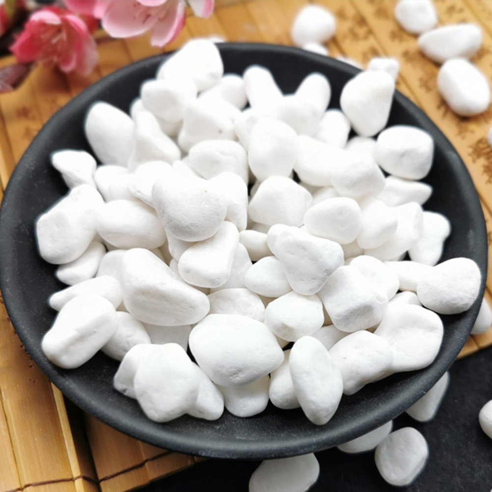 1Set Elegant White Decorative  - Planted Aquarium With Rocks ulasan dan harga