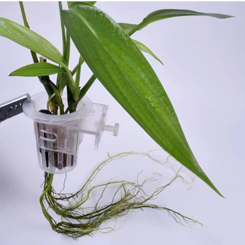 Aquarium Planting Basket Hydro - Aquarium Plant Rings ulasan dan harga