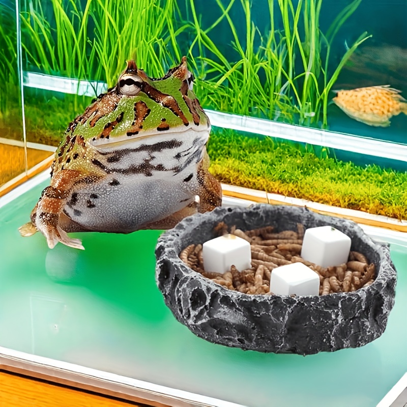 6 Pcs Fish Tank Calcium Block  - Aquarium Plant Rings ulasan dan harga